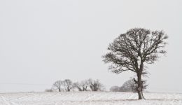 The Beast from the East & Landscape Photography